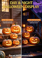 🎃5 Spooky Pumpkin Lights Halloween Decor Set
